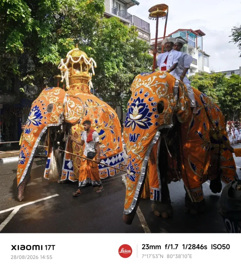 Shades of Orange on Carriers of Tradition